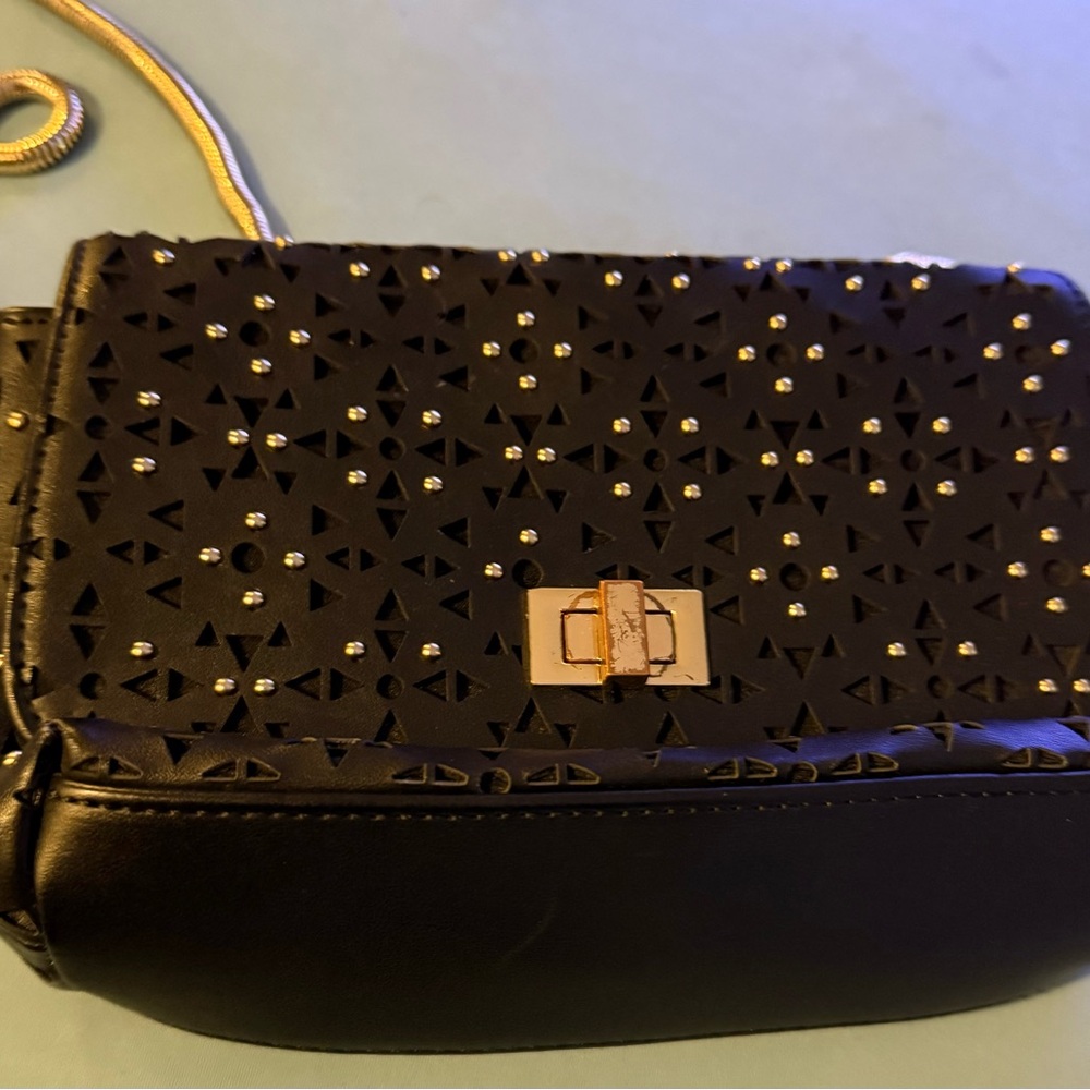 Steve Madden Purse